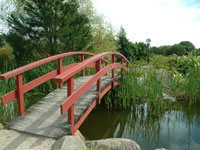 A red footbridge over a pond with grasses. 