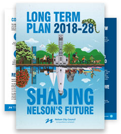 nelson long term plan final document pages