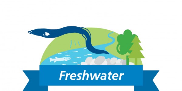 freshwater